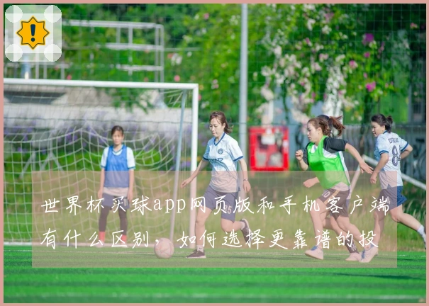 世界杯买球app网页版和手机客户端有什么区别，如何选择更靠谱的投注入口