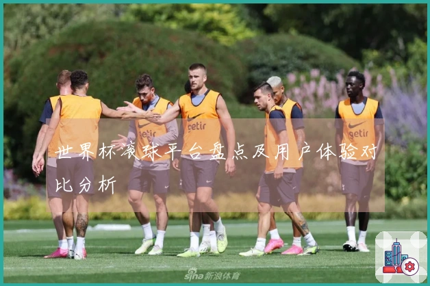 世界杯滚球平台盘点及用户体验对比分析