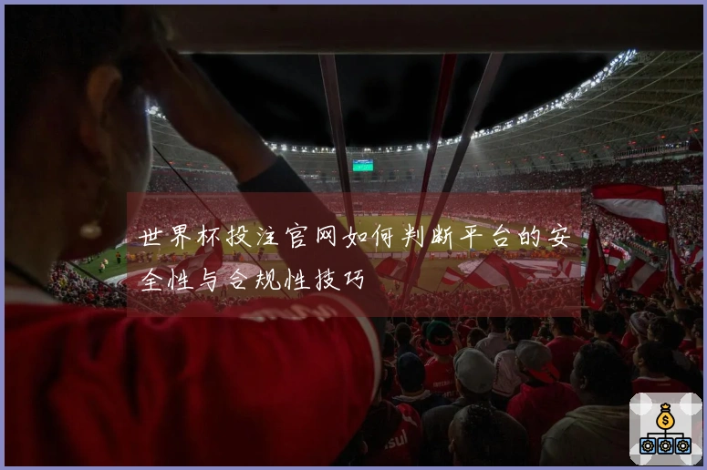 世界杯投注官网如何判断平台的安全性与合规性技巧