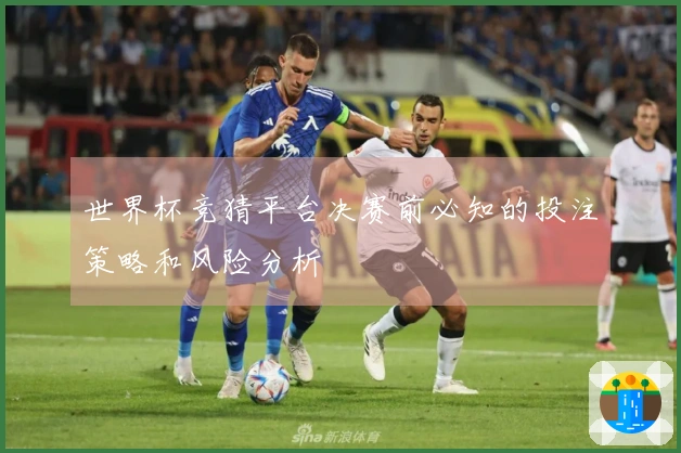 世界杯竞猜平台决赛前必知的投注策略和风险分析