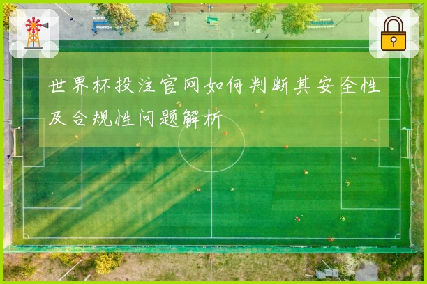 世界杯投注官网如何判断其安全性及合规性问题解析