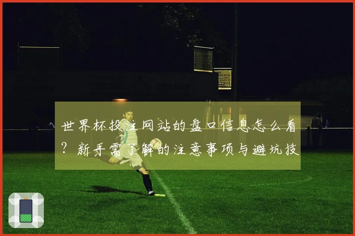世界杯投注网站的盘口信息怎么看？新手需了解的注意事项与避坑技巧