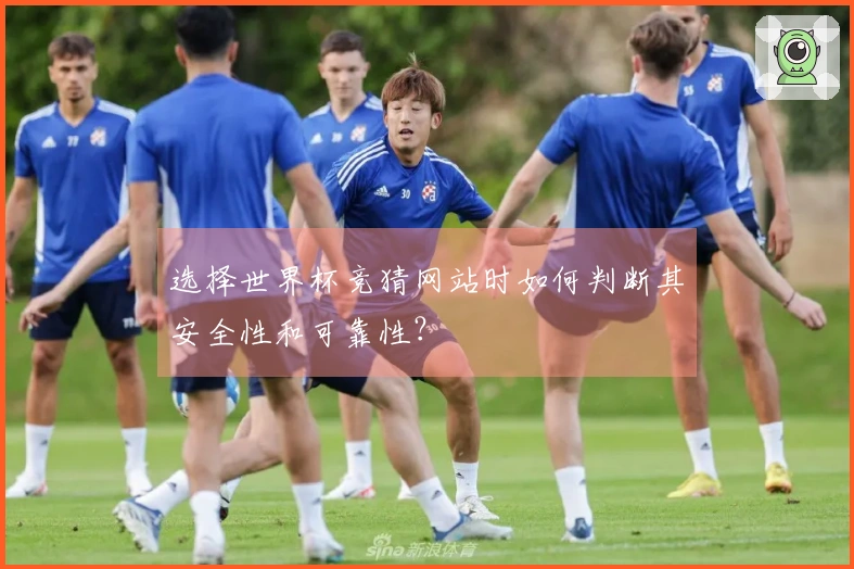 选择世界杯竞猜网站时如何判断其安全性和可靠性？