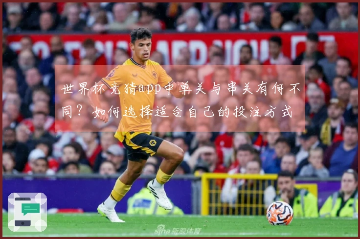 世界杯竞猜app中单关与串关有何不同？如何选择适合自己的投注方式？
