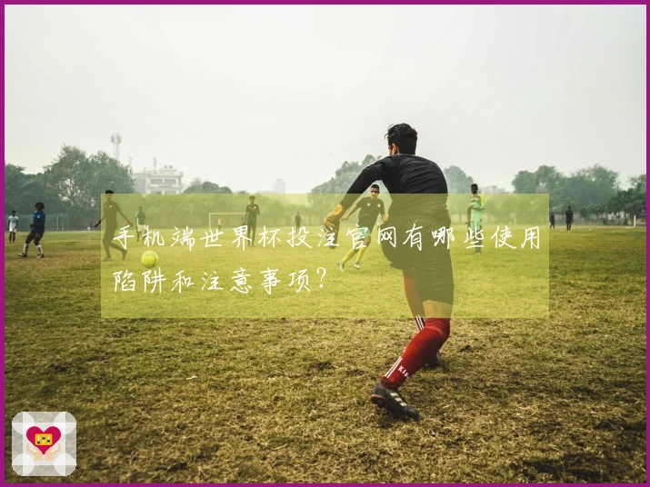 手机端世界杯投注官网有哪些使用陷阱和注意事项？