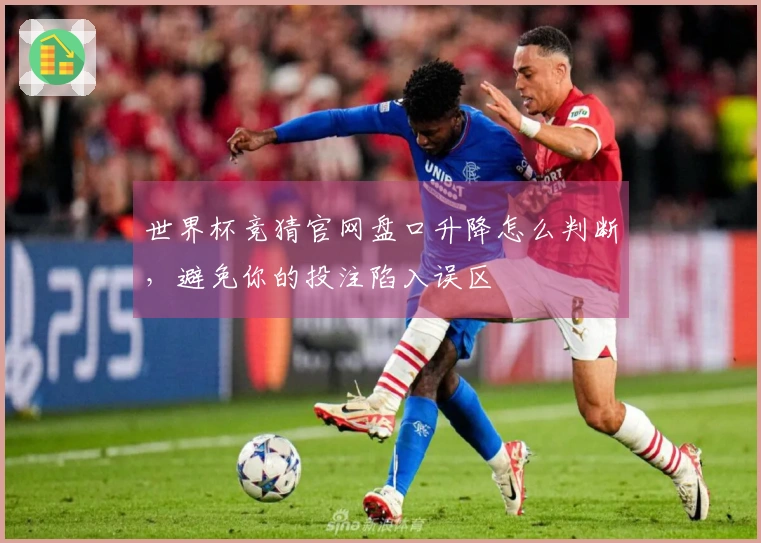 世界杯竞猜官网盘口升降怎么判断，避免你的投注陷入误区