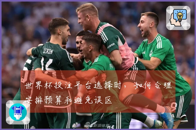 世界杯投注平台选择时，如何合理安排预算和避免误区