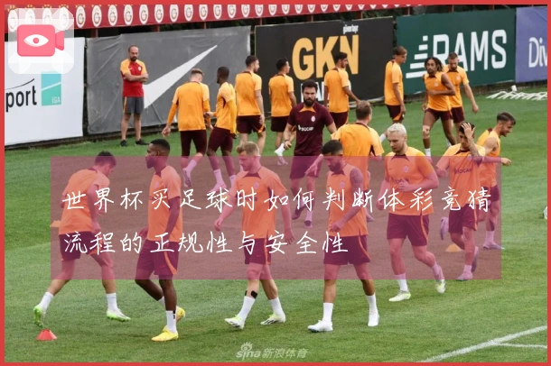世界杯买足球时如何判断体彩竞猜流程的正规性与安全性