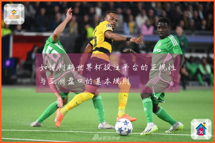 如何判断世界杯投注平台的正规性与亚洲盘口的基本规则