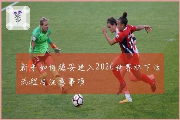 新手如何稳妥进入2026世界杯下注流程与注意事项