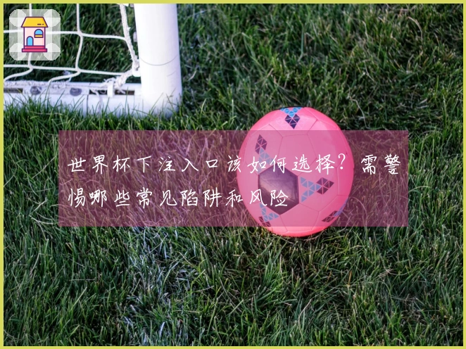 世界杯下注入口该如何选择？需警惕哪些常见陷阱和风险