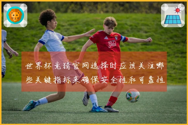 世界杯竞猜官网选择时应该关注哪些关键指标来确保安全性和可靠性