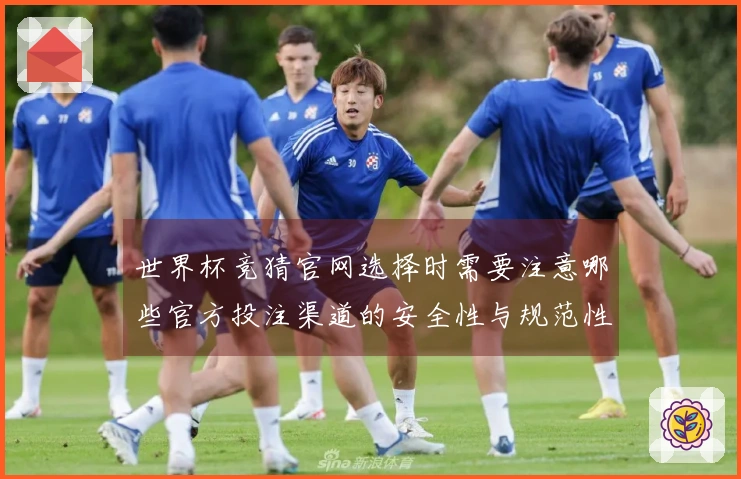 世界杯竞猜官网选择时需要注意哪些官方投注渠道的安全性与规范性