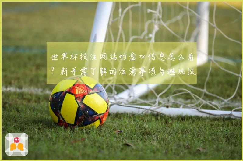 世界杯投注网站的盘口信息怎么看？新手需了解的注意事项与避坑技巧