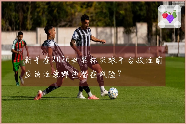 新手在2026世界杯买球平台投注前应该注意哪些潜在风险？