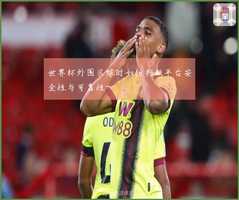 世界杯外围买球时如何判断平台安全性与可靠性-