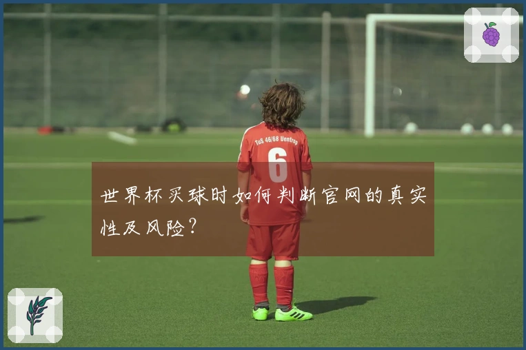 世界杯买球时如何判断官网的真实性及风险？