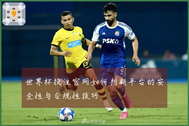 世界杯投注官网如何判断平台的安全性与合规性技巧