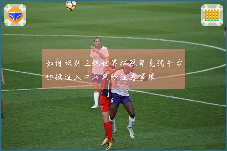 如何识别正规世界杯冠军竞猜平台的投注入口和风险注意事项