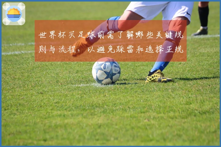 世界杯买足球前需了解哪些关键规则与流程，以避免踩雷和选择正规平台