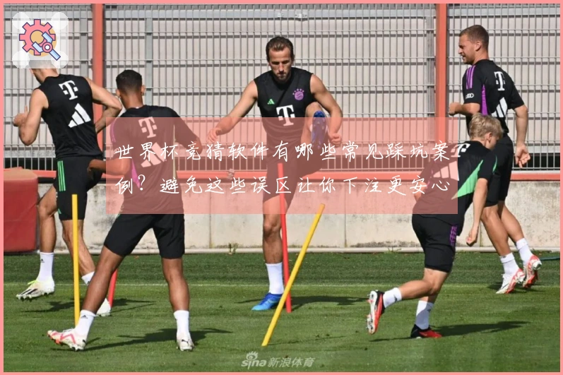 世界杯竞猜软件有哪些常见踩坑案例？避免这些误区让你下注更安心