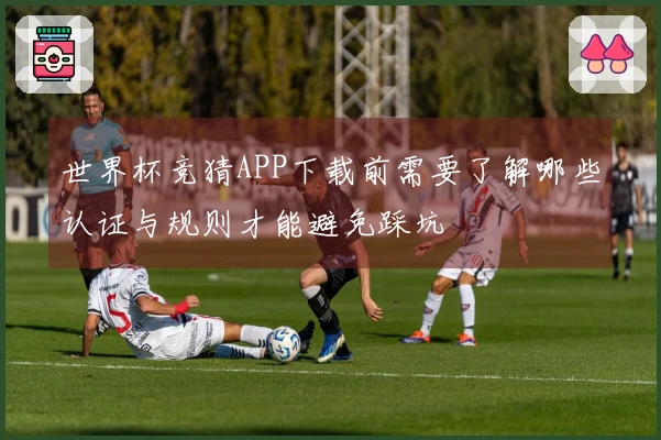 世界杯竞猜APP下载前需要了解哪些认证与规则才能避免踩坑